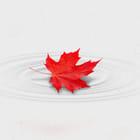 The Current Newsletter Edition271 Op Ed Sarah Armstrong Canada Lead 1200px v1