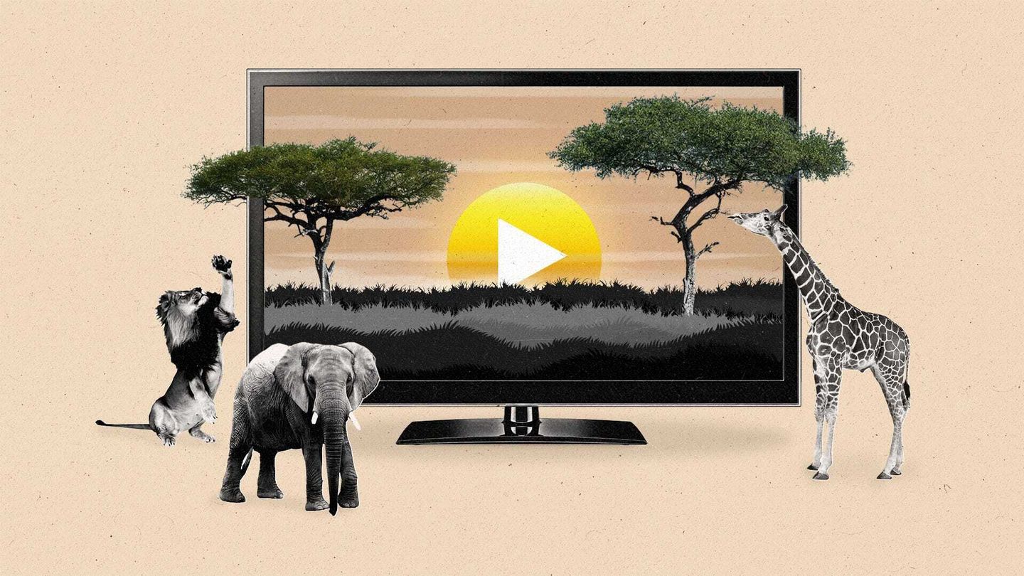 The Current Africa Streaming 1920x1080 Final No Logo