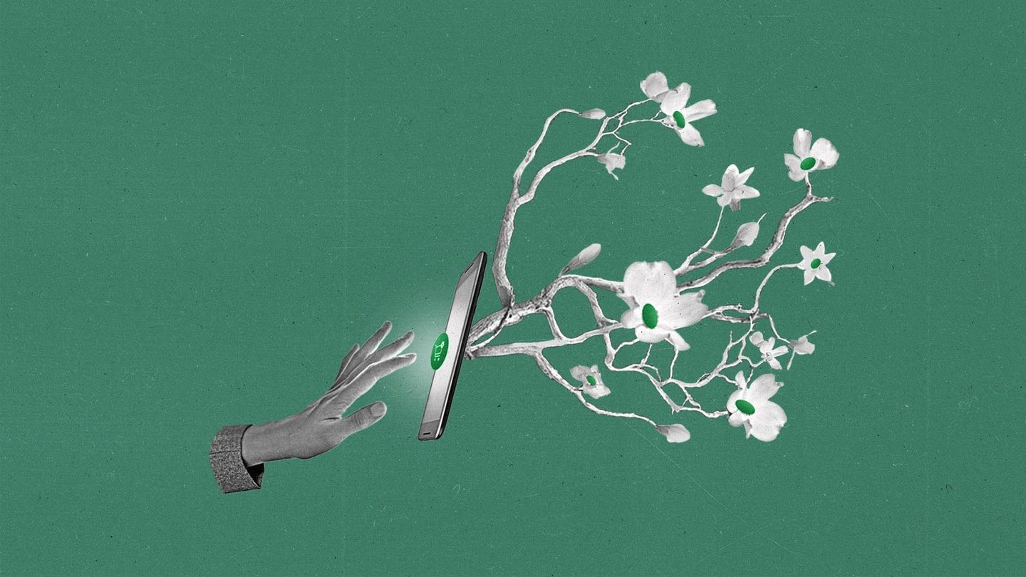 The Current Green Media SPO 1920x1080 No Logo
