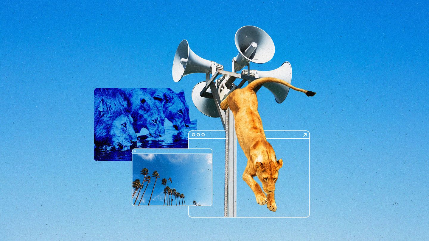The Current Newsletter Cannes2025 Article Insightsfor Media Buyers 1920x1080px No Logo v1