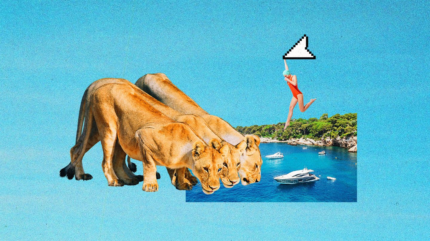 The Current Newsletter Cannes Sustainability 1920x1080px No Logo v1