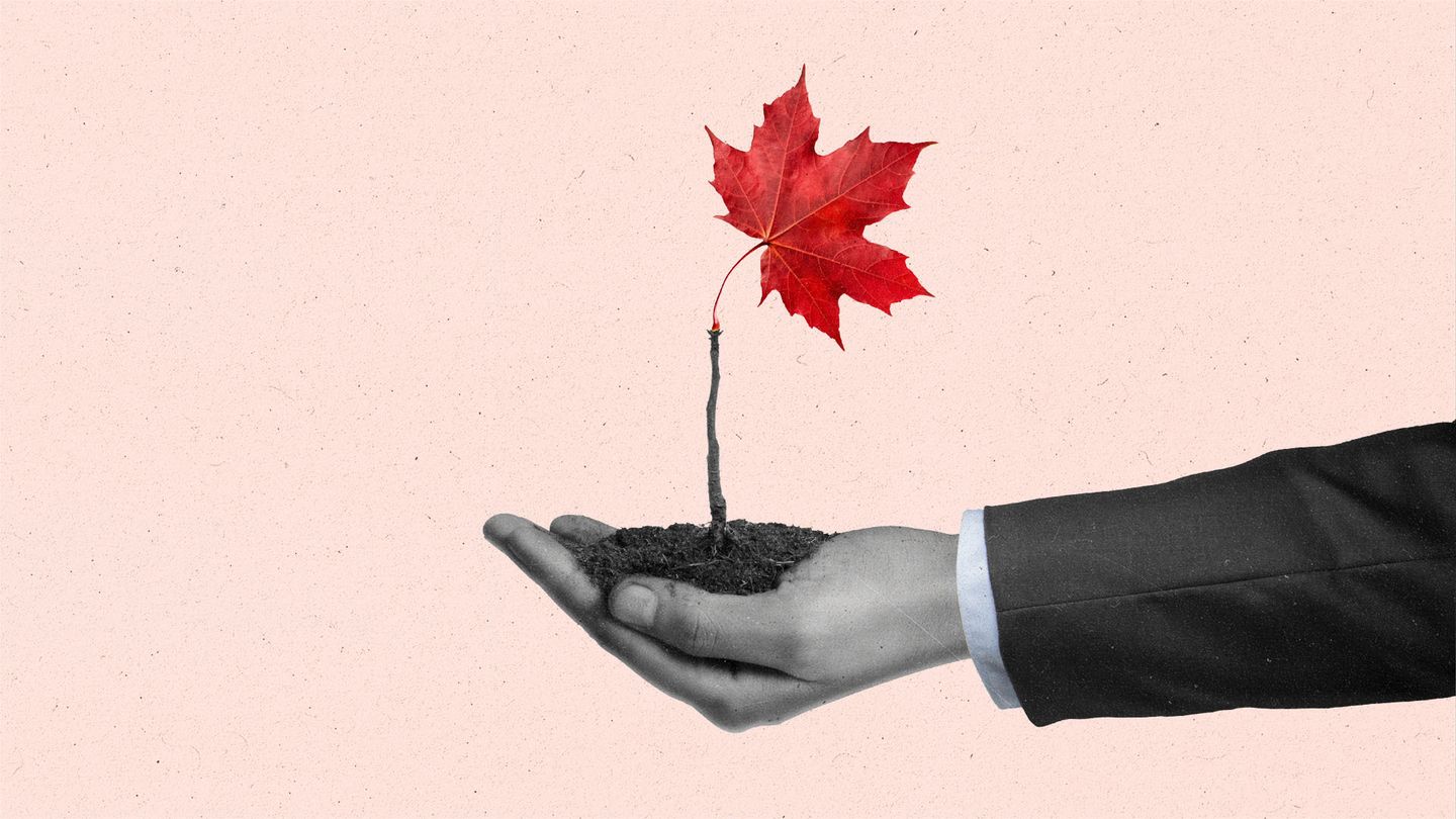 The Current Newsletter Edition271 Canada Setting Standardfor Local Media Investments 1920x1080px Featured Image v1