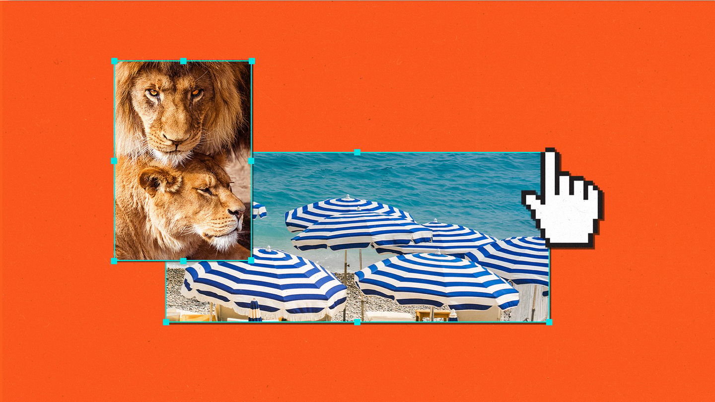 Collage of photo of lions, beach umbrellas, and pixellated cursor hand.
