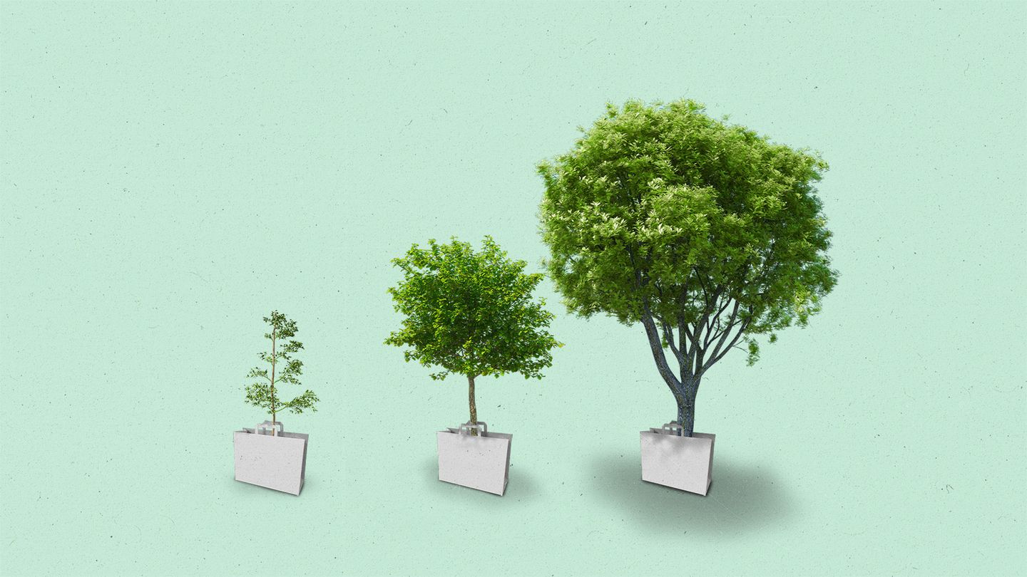 Three shopping bags with growing trees inside them, getting progressively larger.