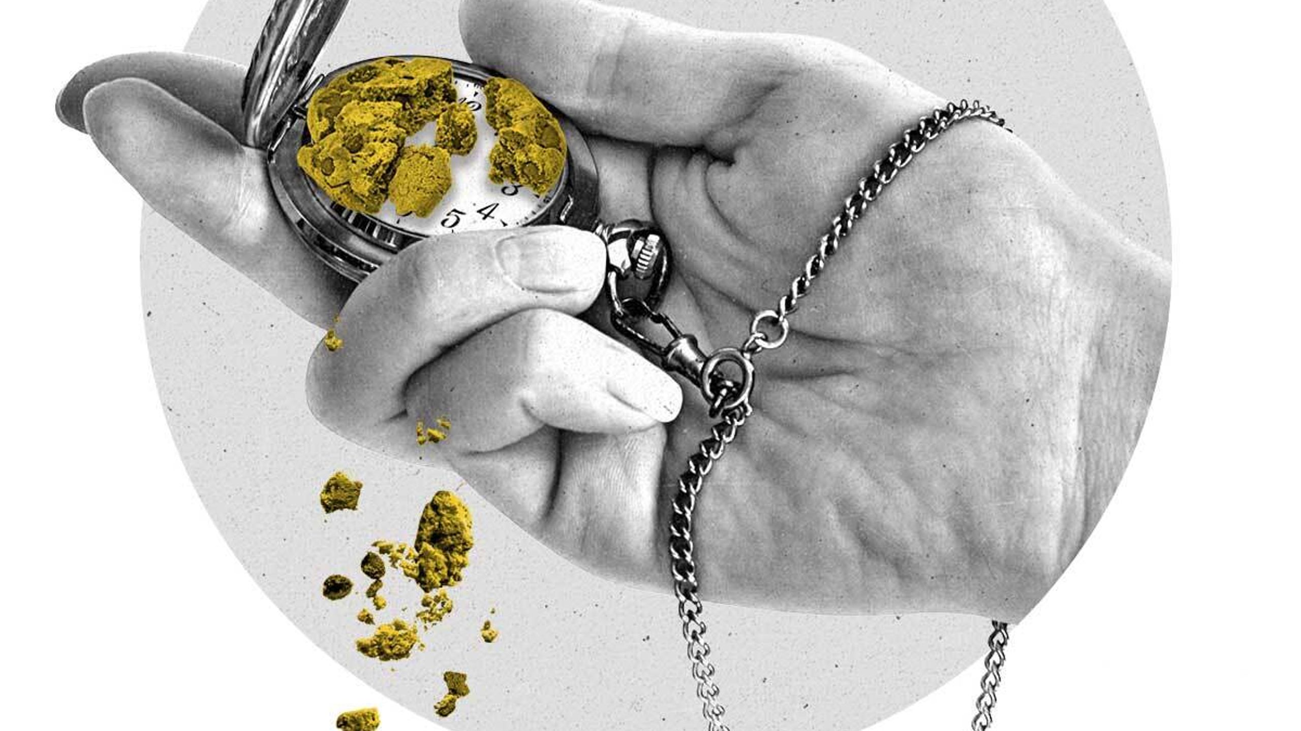 The Current Spot Illo Pocketwatch Authentication Hub 1200px v1