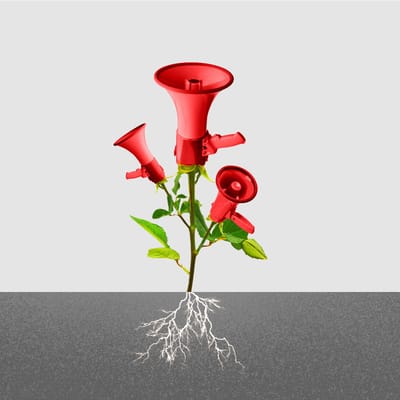 DAM Final Exports The Current edition164 Rosy Outlook 1200px Square v1