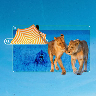 The Current Cannes 2025 Article Howto Get Cannes Gold 1200px Square v1