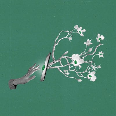 The Current Green Media SPO 1200px