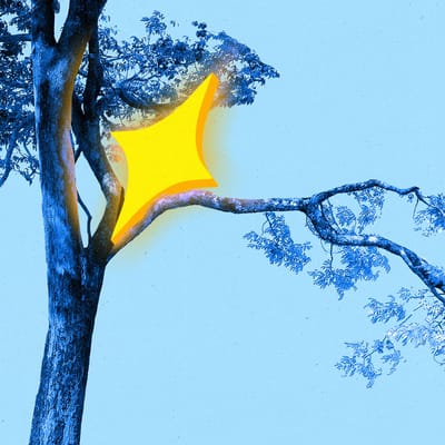 AI-sparkle lightning splitting a branch off of a tree.