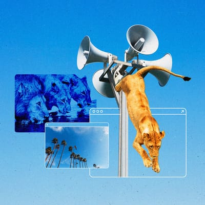 The Current Newsletter Cannes2025 Article Insightsfor Media Buyers 1200px Square v1