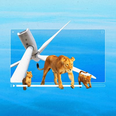 The Current Newsletter Cannes2025 Article Sustainability 1200px Square v1