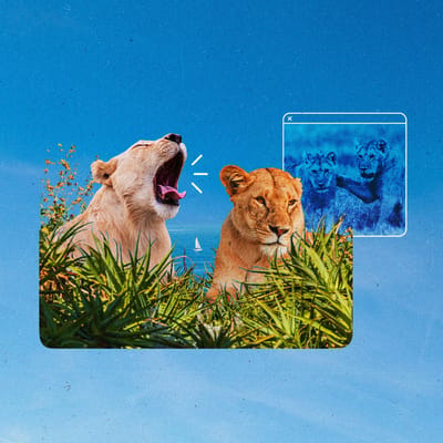 The Current Newsletter Cannes2025 Overheardat Cannes 1200px Square v1