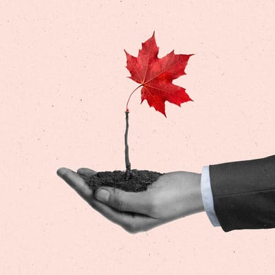 The Current Newsletter Edition271 Canada Setting Standardfor Local Media Investments 1200px Square v1