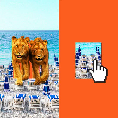 Two lions walk by beach chairs and a cursor.