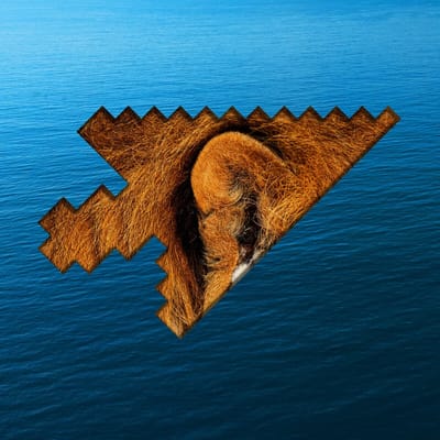 Photo of a lion's ear within the silhouette of a pixellated arrow cursor.