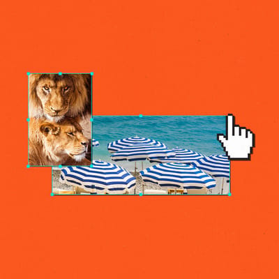 Collage of photo of lions, beach umbrellas, and pixellated cursor hand.