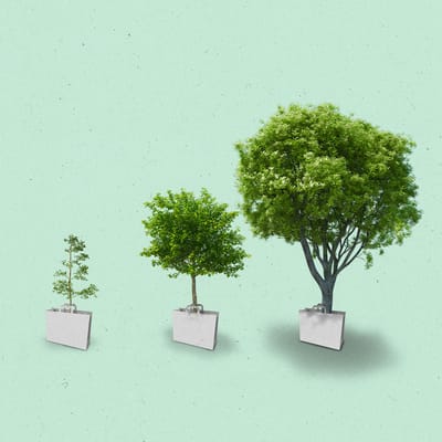 Three shopping bags with growing trees inside them, getting progressively larger.