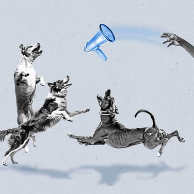 Three dogs jump to catch a thrown blue megaphone.