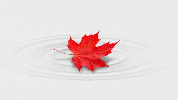 The Current Newsletter Edition271 Op Ed Sarah Armstrong Canada Lead Preview Image v1