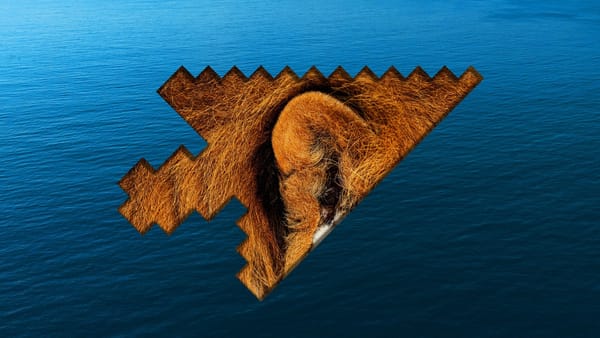 Photo of a lion's ear within the silhouette of a pixellated arrow cursor.