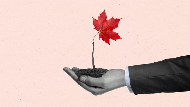 The Current Newsletter Edition271 Canada Setting Standardfor Local Media Investments 1920x1080px Featured Image v1