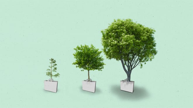 Three shopping bags with growing trees inside them, getting progressively larger.