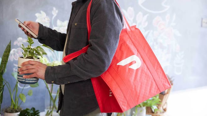 Man with a Doordash bag holds a plant and his phone.